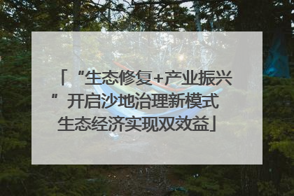 “生态修复+产业振兴”开启沙地治理新模式 生态经济实现双效益